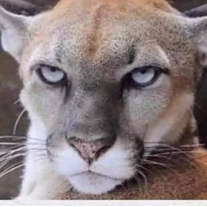 Meet your Posher, Ali